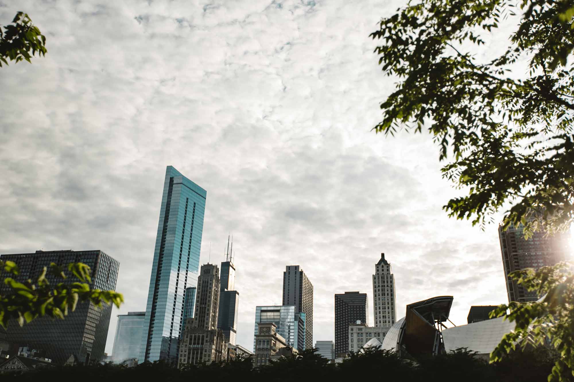 Training // Chicago Compass Counseling Alcohol Counseling In Chicago